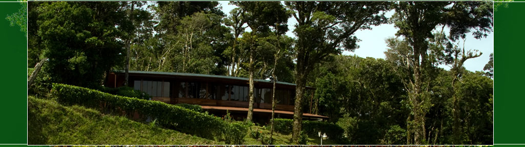 Monteverde Costa Rica Tourism