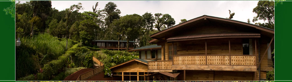 Monteverde Packages Tours