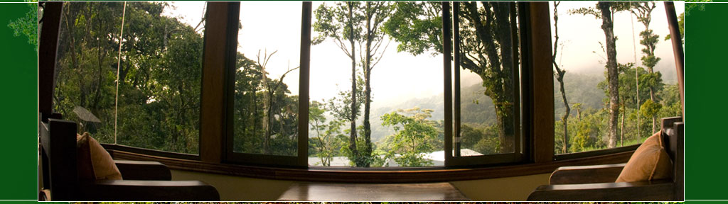 Costa Rica Monteverde Tours information