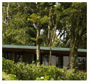 Monteverde TRAPP Family Costa Rica Hotel Monteverde